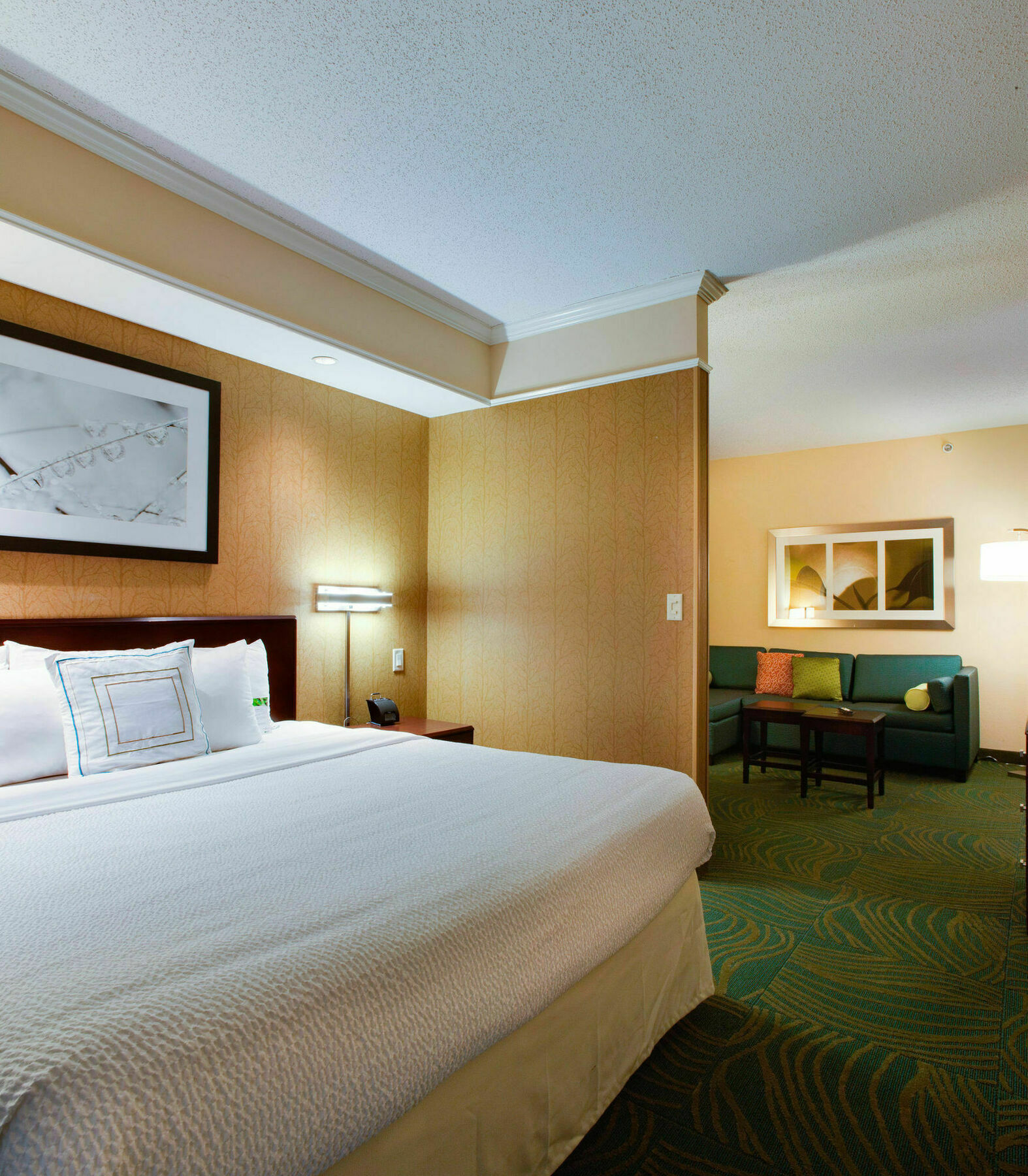 Springhill Suites By Marriott Savannah I-95 South Джорджтаун Экстерьер фото